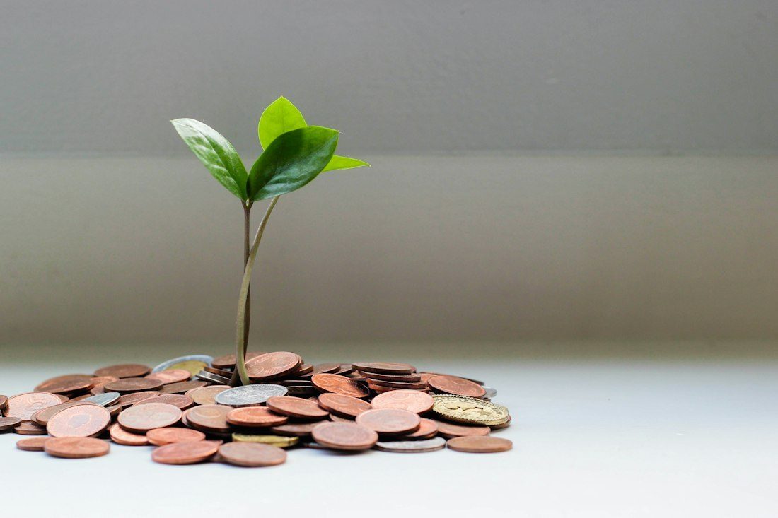 Dinero sobre una mesa, fotografía ilustrativa