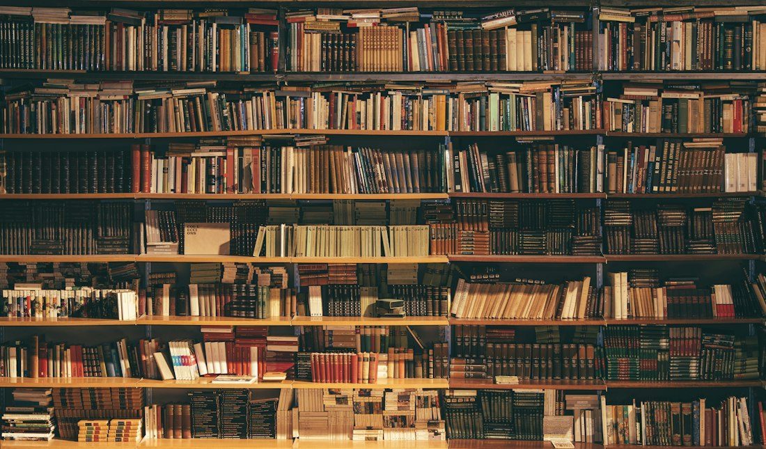 Estanterías con libros, fotografía ilustrativa de consulta documental